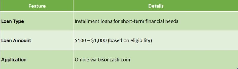 bison cash loan